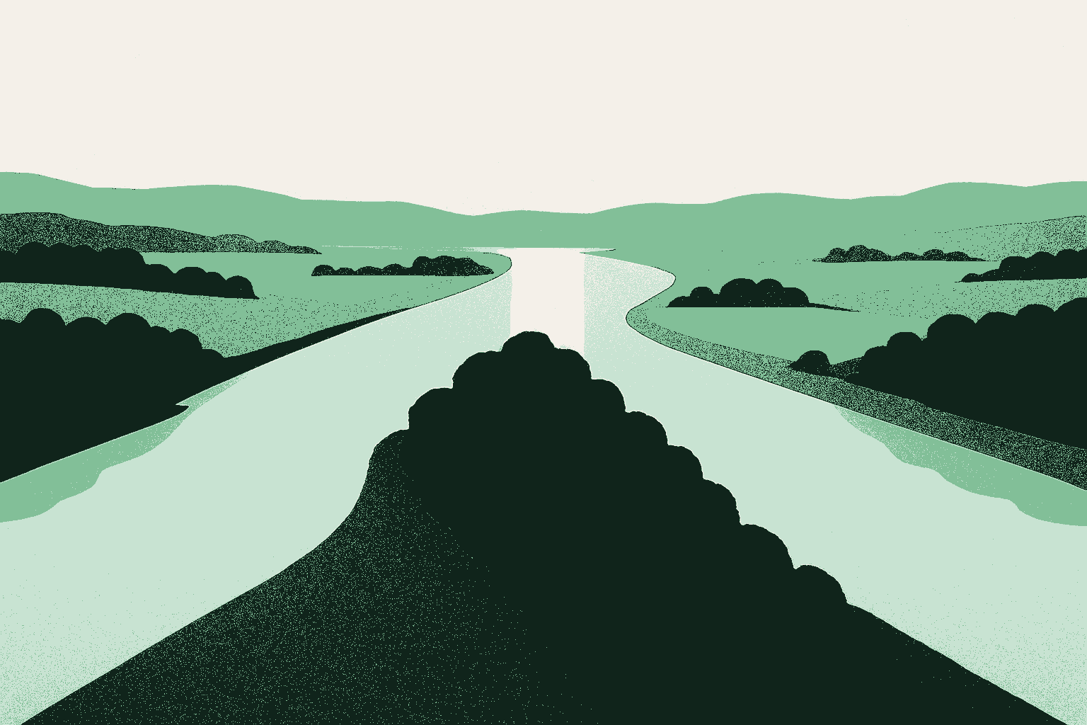 An aerial view at golden hour of a wooded point of land wedging into the frame from the foreground, with water flowing along both sides of it. Past the point the two waters continue as a single broad river running toward distant hills. Rendered in warm cream, sage, and deep forest green.