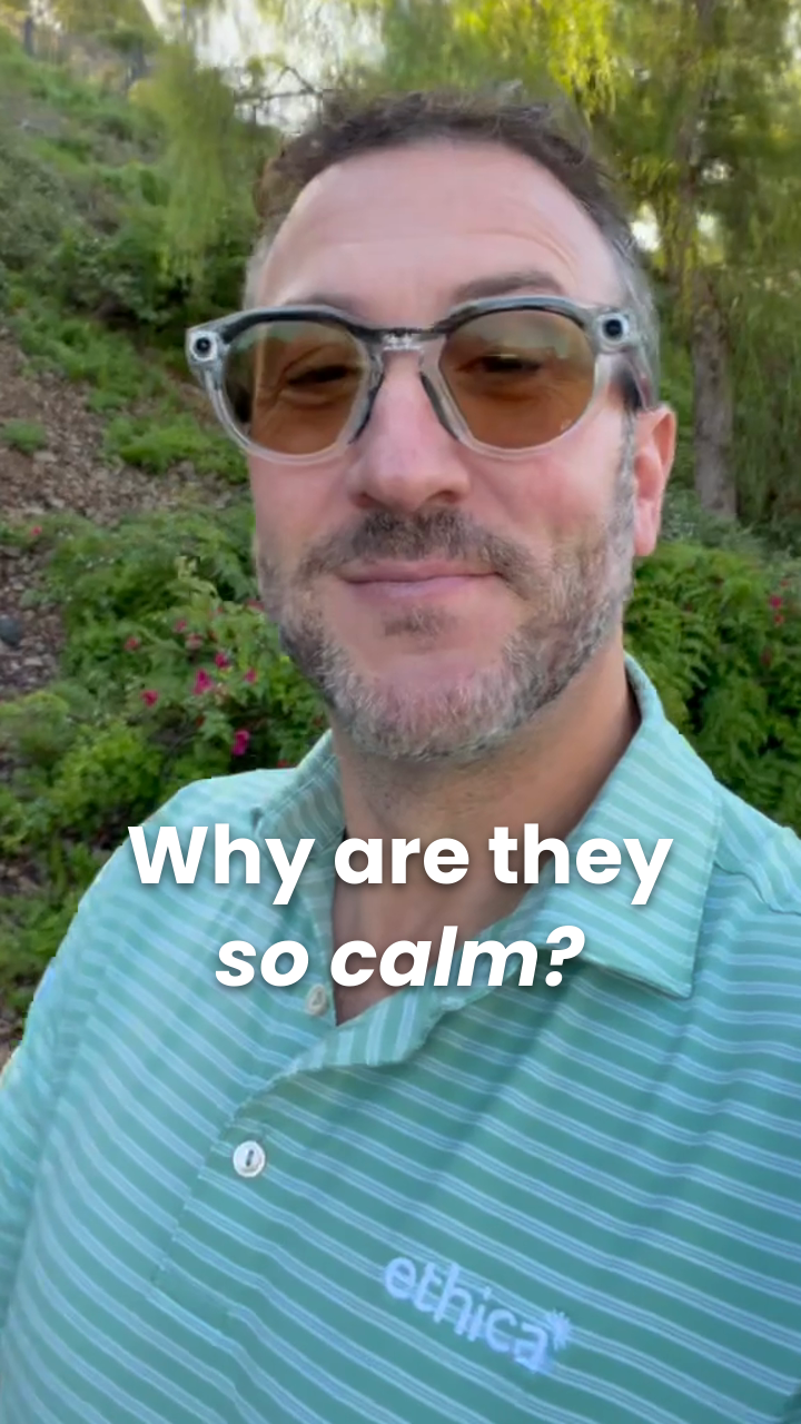 Video thumbnail: The Calmest Person in the Room